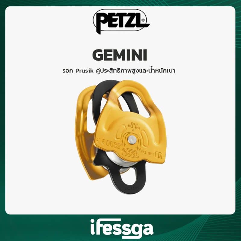 149 GEMINI