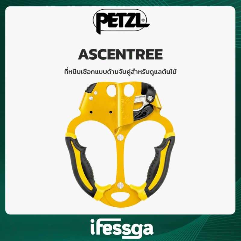 163 ASCENTREE