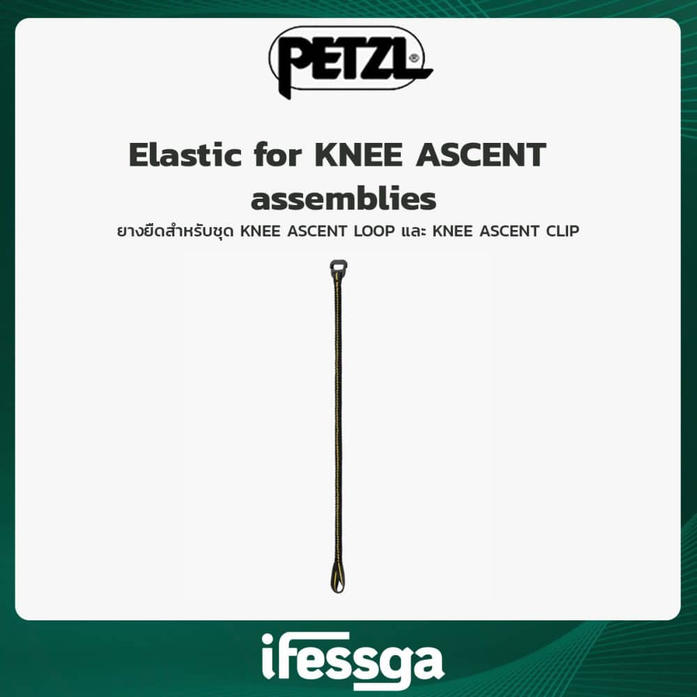 165 Elastic for KNEE ASCENT