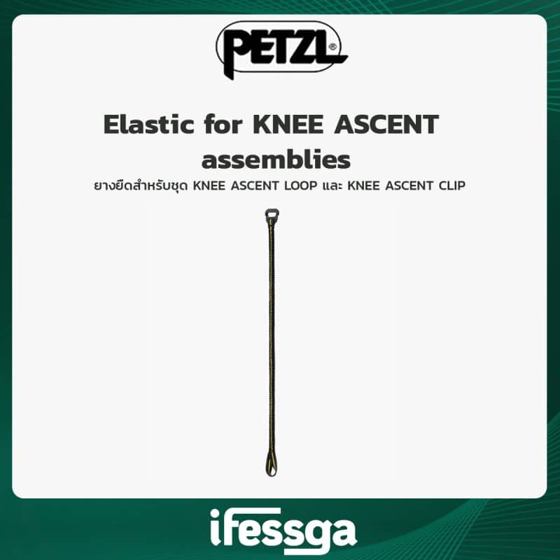 165 Elastic for KNEE ASCENT