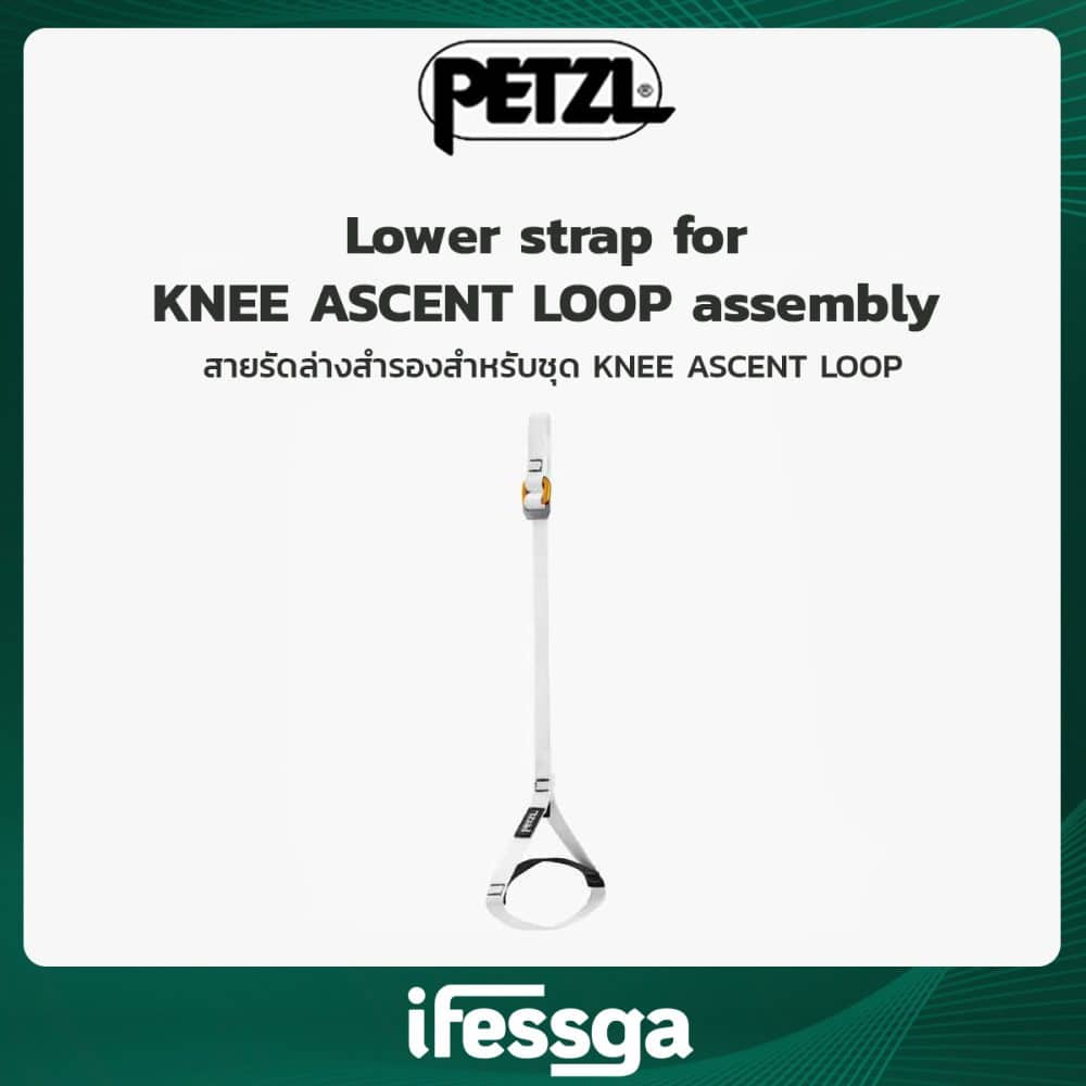 169 Lower strap for KNEE ASCENT LOOP assembly