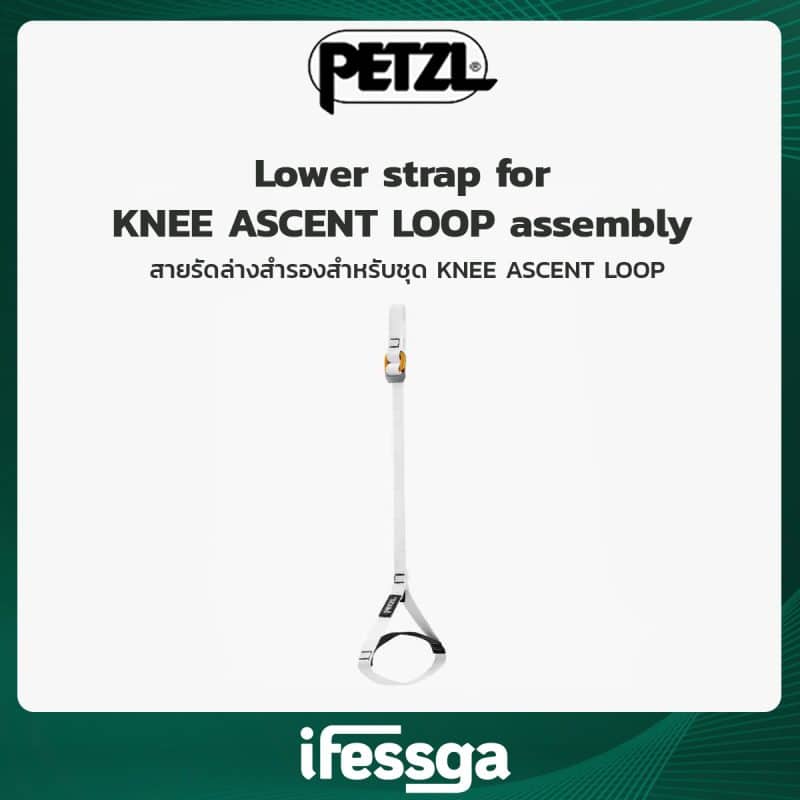 169 Lower strap for KNEE ASCENT LOOP assembly