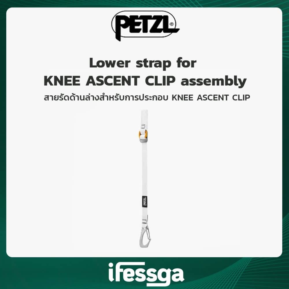 170 Lower strap for KNEE ASCENT CLIP assembly