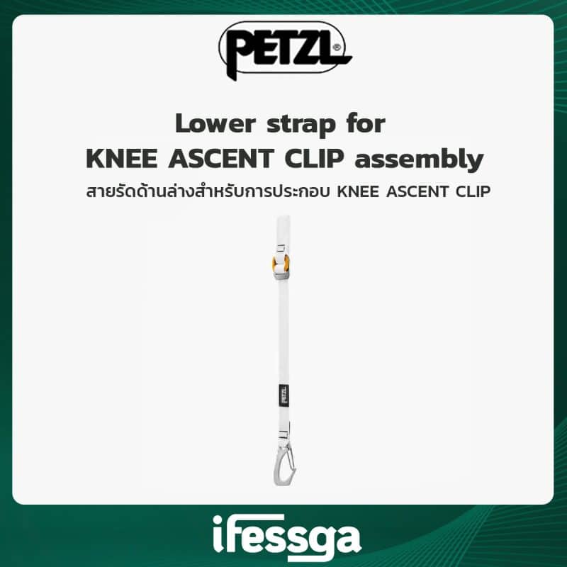 170 Lower strap for KNEE ASCENT CLIP assembly